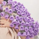 Lily of the Valley Crochet Blanket – Surprise Bouquet